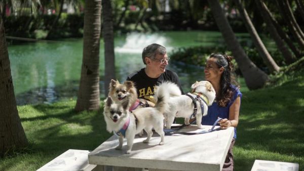 دورات مجانية للتايلانديات حول الزواج من اجانب