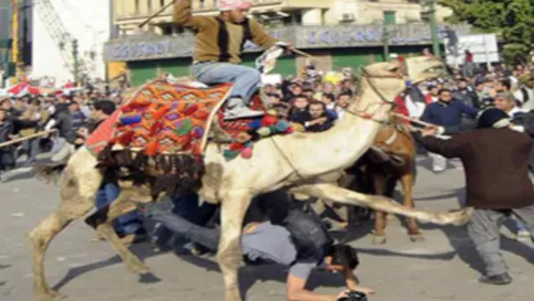 الوطني تورط في موقعة الجمل 