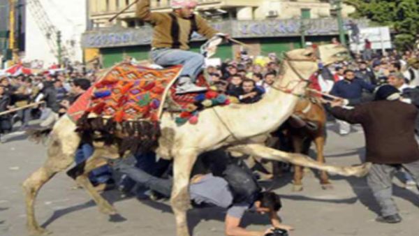 أنصار الرئيس السابق مبارك يهاجمون المتظاهرين بميدان التحرير من على ظهور الجمال 