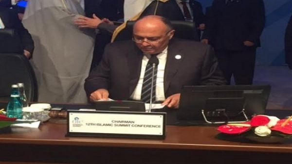 وزير الخارجية المصري سامح شكري