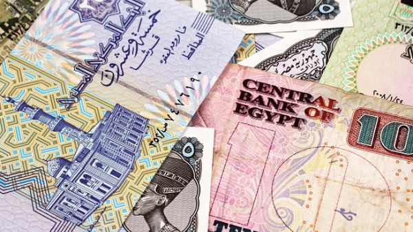 The Turkish lira lost about 20 percent of its value against the US dollar. (Shutterstock)