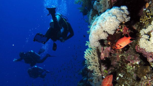 Tiran and Sanafir are hot spots for both Egyptian and foreign scuba diving hobbyists. (Flickr/Derek Keats)