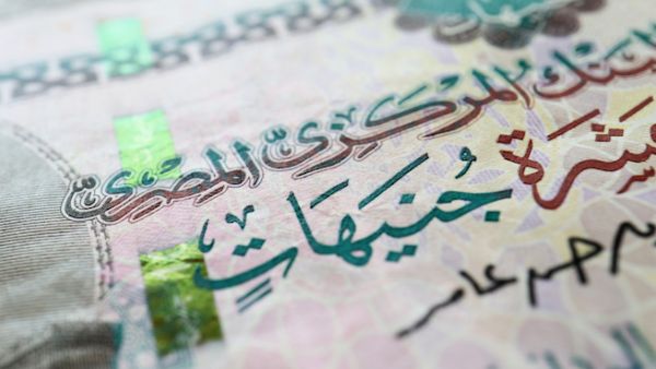 Reports suggest most Egyptian civil servants work other jobs to be able to put food on the table for their families. (Shutterstock)