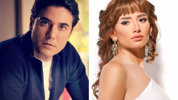 Ahmed Ezz and Zeina - is a DNA test the only way to settle it? (Facebook)