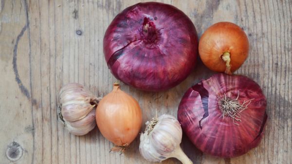 كلما زاد استهلاك خضروات الـallium تعززت فرص الحماية من سرطان القولون