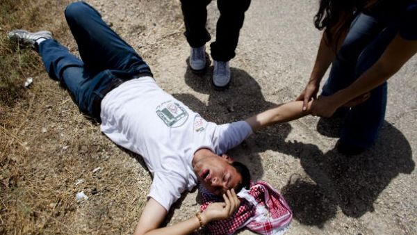 تعرضت الصحفية الفلسطينية دارين الجعبة، بتاريخ 27-6-2017 لمضايقات، وإهانات