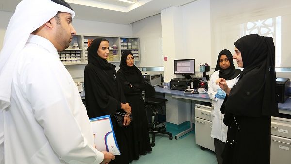 During the visit 