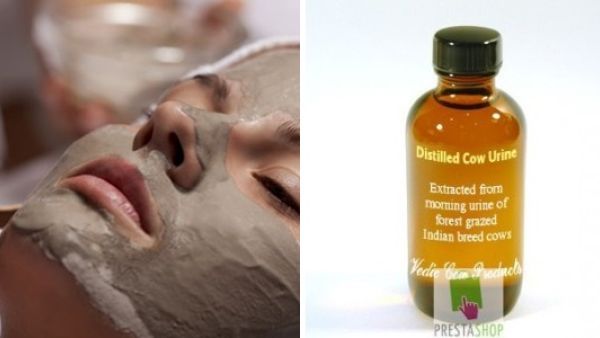 خصائص علاجية لبول البقر