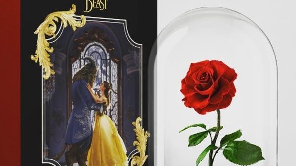 وردة بيلا المسحورة اصبحت حقيقة 