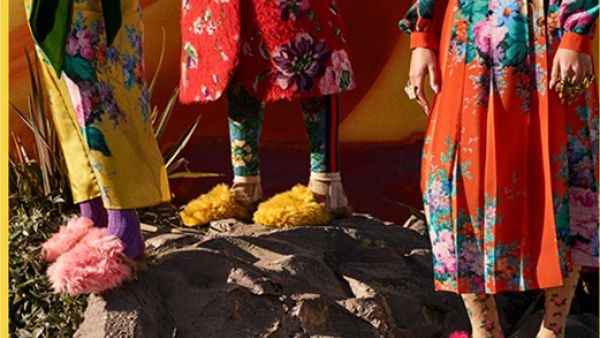 المجموعة الجديدة من برينستاون 