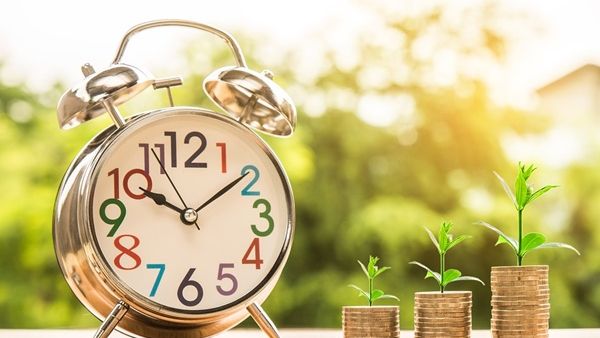 تعد النباتات المنزلية أجهزة فلتر طبيعية تعمل على تهوية وتنقية الهواء 