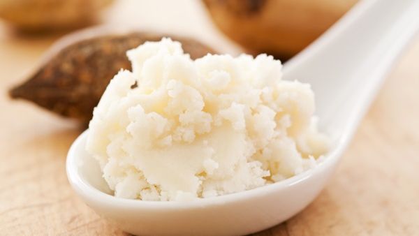 تستخرج زبدة الشيا من جوزة شجرة الشيا الإفريقية