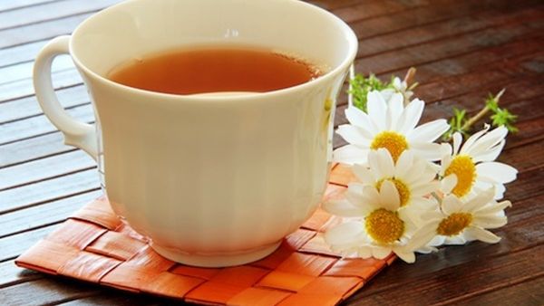 شاي البابونج ...لعلاج الصداع شاي البابونج ...لعلاج الصداع