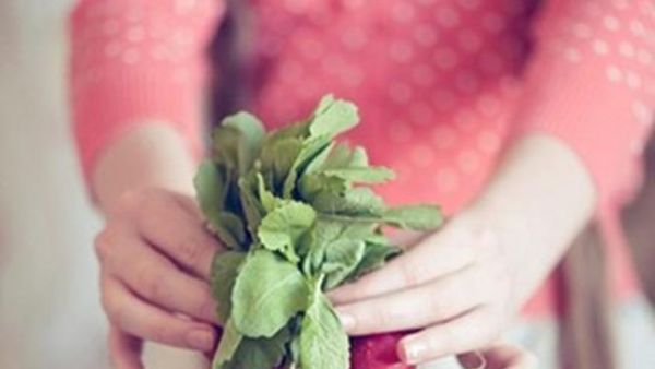 المنافع الصحية للفجل المنافع الصحية للفجل