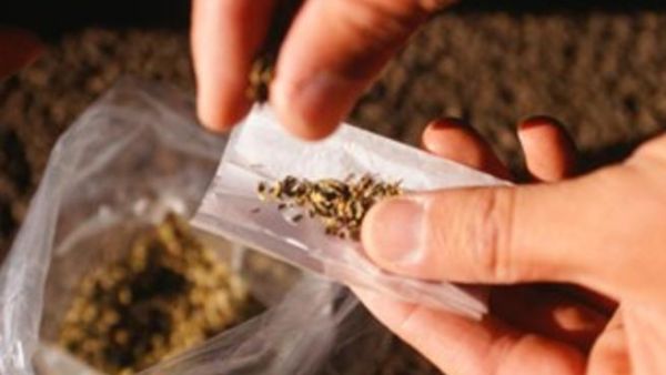 جرعة الماريوانا الطبية أقل بكثير من الجرعة غير القانونية