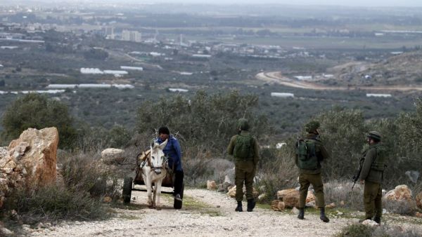 Israeli soldiers patrol near olive trees that were recently cut to open a new road east of the West Bank town of Qalqilyah on January 8, 2017. (AFP/Jaafar Ashtiyeh)