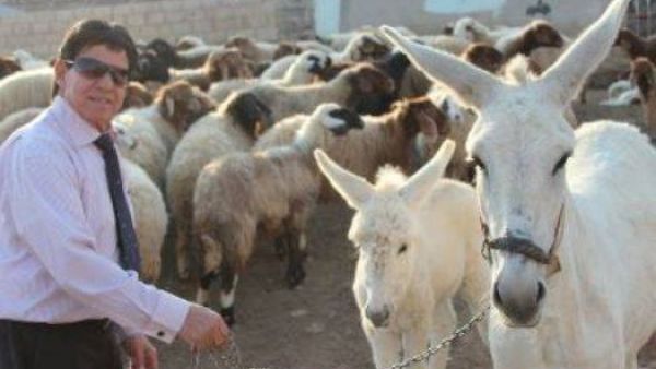 Shibli Haddad poses at a local farm. (Facebook)