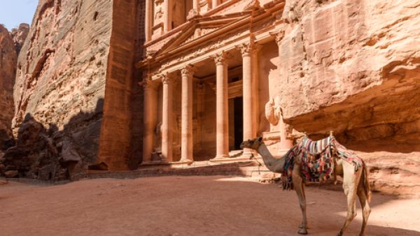 At the international level, Petra lies along one of the world’s largest bird migratory flyways. (Shutterstock)