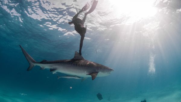 (Shutterstock/ File Photo)