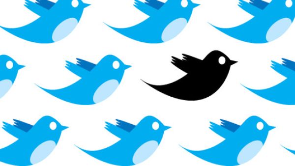 Tweeting can be dangerous. (Shutterstock)