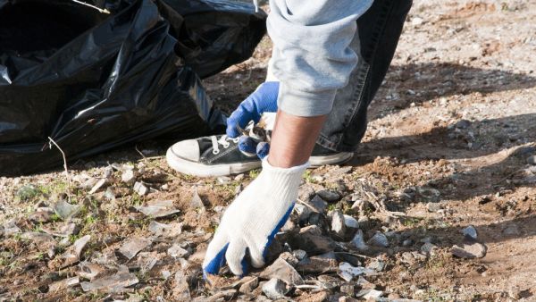 (Shutterstock/File Photo)