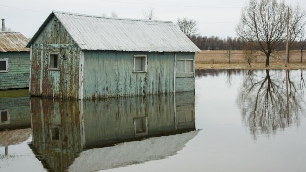 (Shutterstock/File Photo)