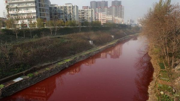 A river turning red caused panic in Lebanon’s city of Zahle. (AFP/ File Photo)