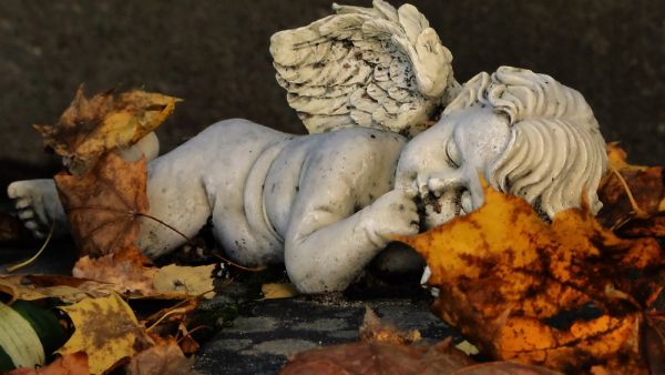 (Shutterstock/ File Photo)