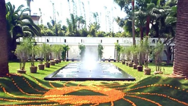 "الشوك" .. قصة للأديبة المغربية نادية بنمسعود