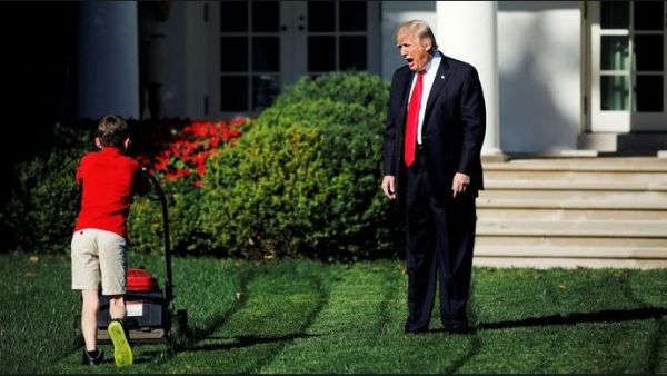 Maybe it was the little boy mowing the lawn (Twitter)