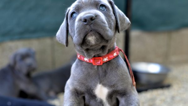 (Shutterstock/File Photo)