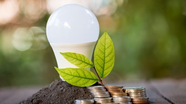 The UAE is working to create a more sustainable and energy-efficient country, but the success of these initiatives depends on household consumption. (Shutterstock)