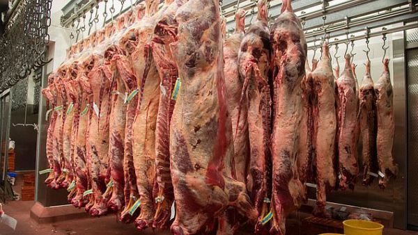 (Shutterstock/ File Photo)