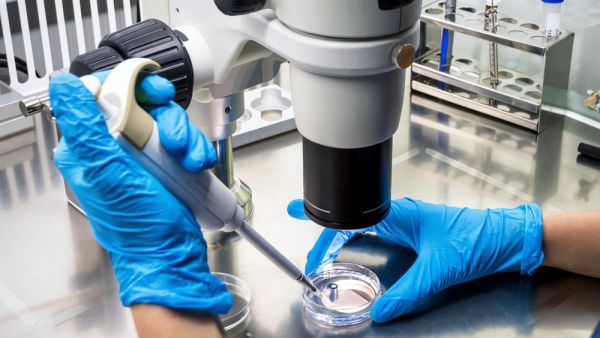 (Shutterstock/ File Photo)