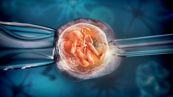 (Shutterstock/ File Photo)