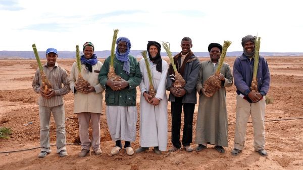 The Coca-Cola Africa Foundation partnered with CARE in Morocco to increase access to improved potable water supply sources and sanitation facilities for vulnerable rural populations.