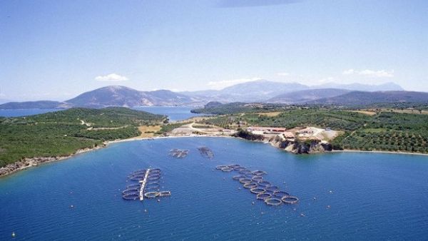 Above, a fish farming facility in the Mediterranean Sea. Sovereign investors across the region are increasingly investing in food resources on land and sea as a growing global population needs feeding. (Mubadala)