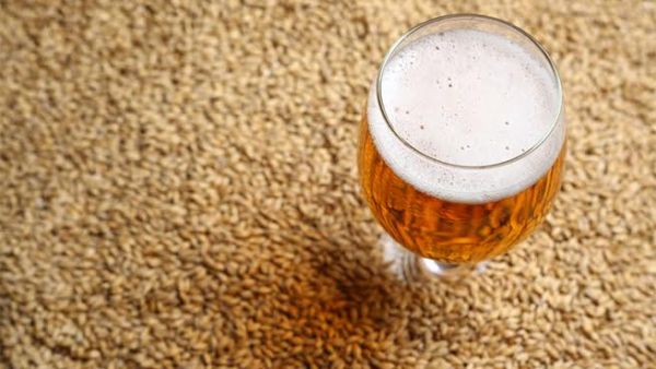 شراب الشعير المشروب الأكثر شهرة لعلاج مشاكل الجهاز البولي  فوائد شراب الشعير