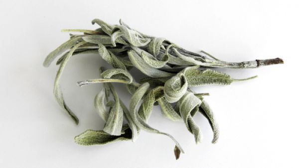 لا تعمل الميرمية على إنقاص وزنك إلا من خلال اتباعك لنظام غذائي سليم لا تعمل الميرمية على إنقاص وزنك إلا من خلال اتباعك لنظام غذائي سليم