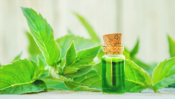 تعدّ طرق إعداد خلطات زيت النعناع من الطرق الطبيعية  التي يمكن إعدادها