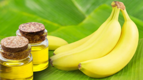 زيت الموز لشعر أكثر من حيوي وصحي