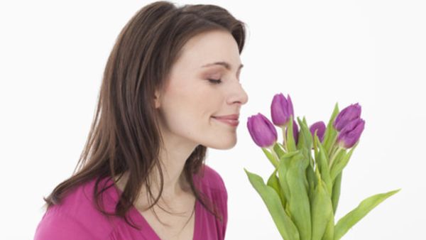 زهر اللافندر البنفسجي برائحته الرقيقة يعني الحب من أول نظرة
