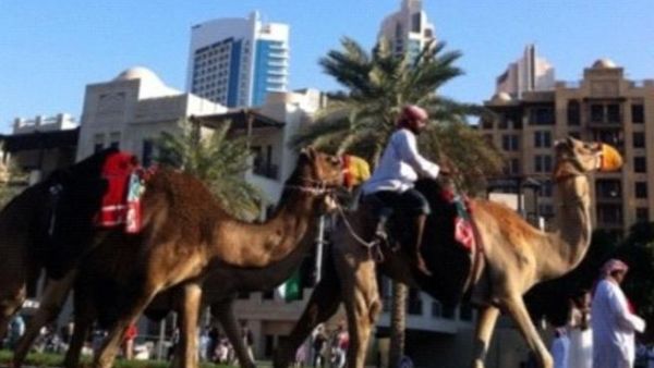 A safer form of transport on the UAE's National Day  A safer form of transport on the UAE's National Day