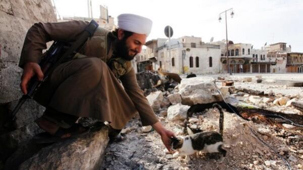 Apocalypse meow: A UN report in 2014 showed thousands of jihadists had flocked to Iraq and Syria after seeing pictures of cats posed alongside AK-47s and in the arms of masked extremists. 15,000 fighters from 80 countries joined the fight after seeing their posts on social media. (Twitter)