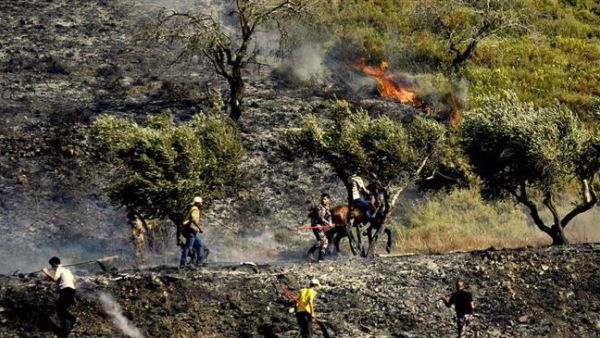 Palestinians try to put out fire set by Israeli settlers in an olive grove near the West Bank village of Burin on June 3, 2013. (AFP/File)