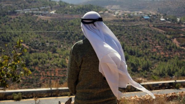 Palestinian farmer Abbas Yusef, 70, looks towards his olive trees. (AFP/File)