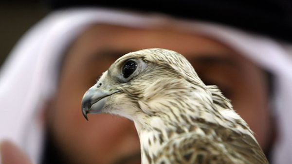 السعودية: سنفتتح قريبا قنصليتنا العامة في البصرة
