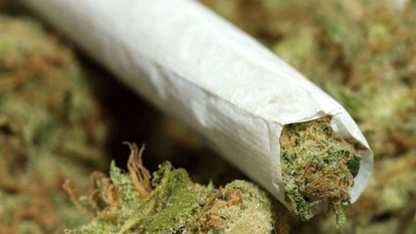 إحباط عدة محاولات لتهريب كميات كبيرة من مادة الحشيش المخدر