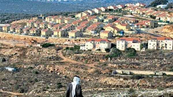 راع فلسطيني يمر قرب مستوطنة ريفافا في الضفة الغربية