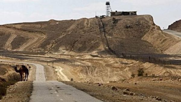 جمل على الجانب الاسرائيلي من الحدود مع مصر قرب موقع عسكري مصري (اعلى يمين الصورة) في سيناء
